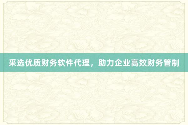采选优质财务软件代理，助力企业高效财务管制