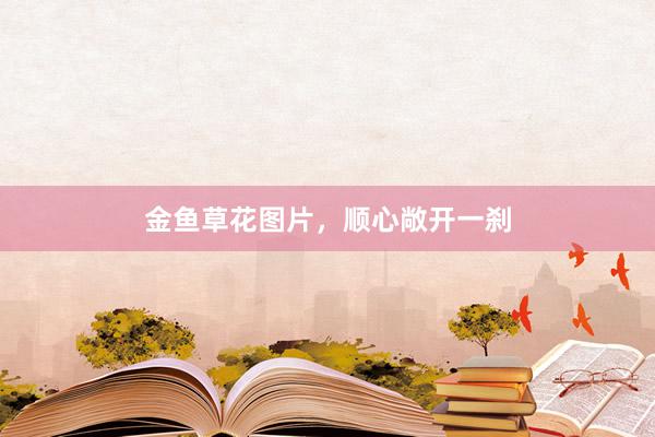 金鱼草花图片，顺心敞开一刹