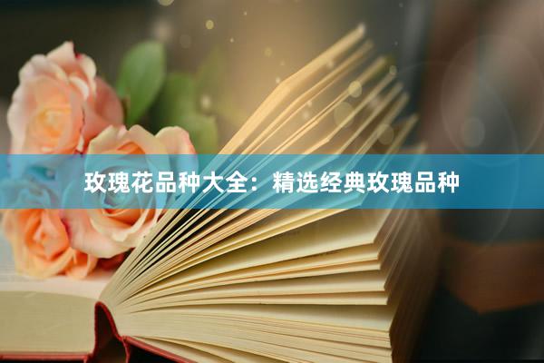 玫瑰花品种大全：精选经典玫瑰品种