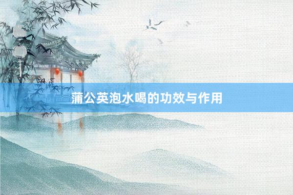 蒲公英泡水喝的功效与作用